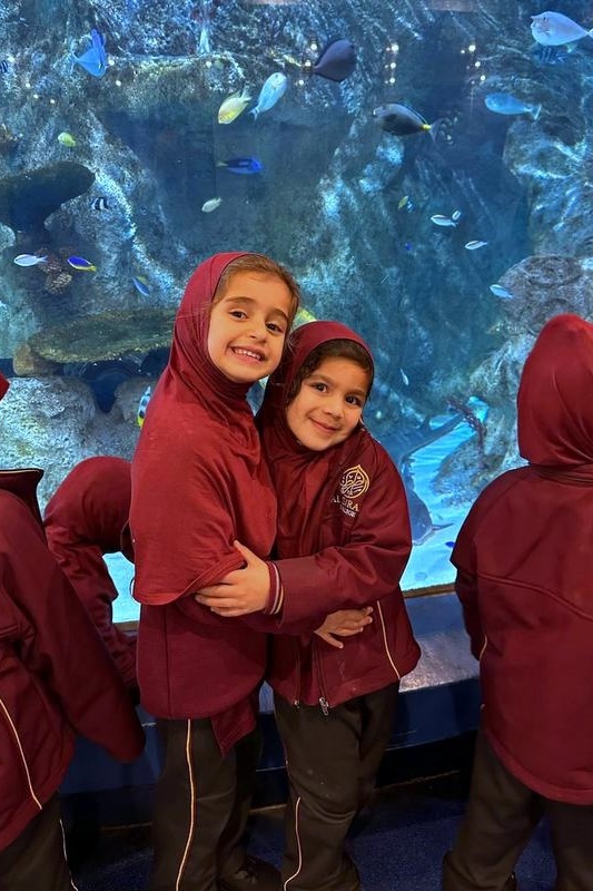 Foundation Excursion: SEA LIFE Melbourne Aquarium